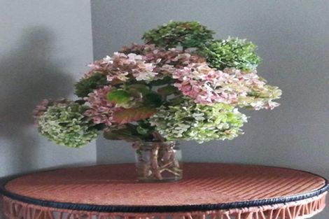 Photo of property in 1a Oriental Terrace, Oriental Bay, Wellington, 6011