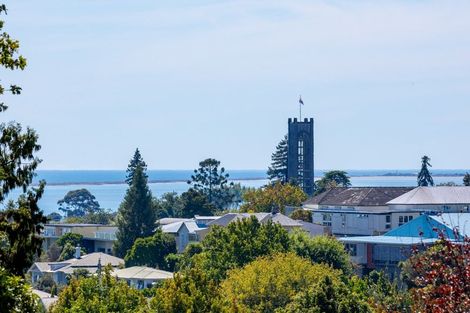 Photo of property in 24 Ngatitama Street, Nelson South, Nelson, 7010