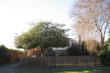 Photo of property in 88 Cranford Street, St Albans, Christchurch, 8014