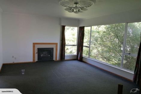 Photo of property in 48 May Street, Hamilton East, Hamilton, 3216