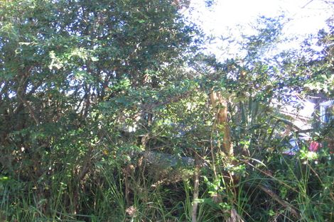 Photo of property in 57 Shetland Street, Glen Eden, Auckland, 0602