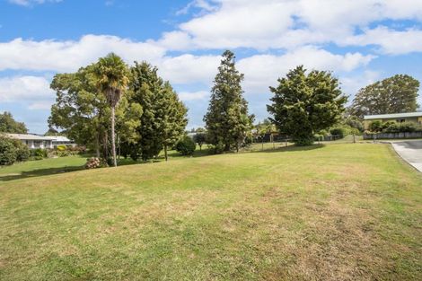 Photo of property in 12 George Street, Waihi, 3610