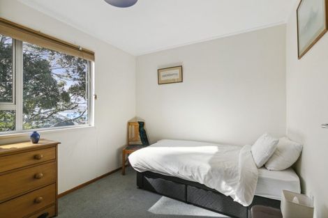 Photo of property in 19 Colville Street, Newtown, Wellington, 6021