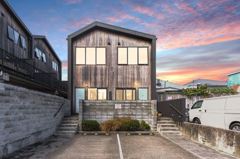 Photo of property in Aniva Terrace, 14 Arney Street, Newtown, Wellington, 6021