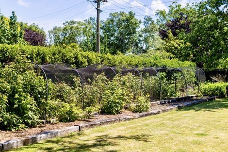 Photo of property in 60 Colemans Road, Springlands, Blenheim, 7201