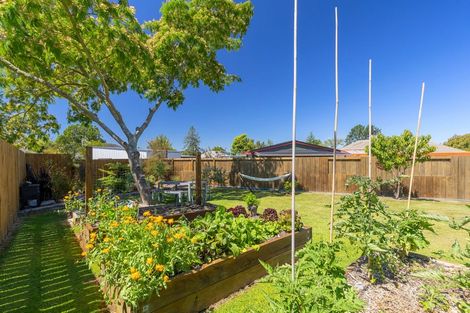 Photo of property in 28 Rata Street, Wairakei, Taupo, 3332