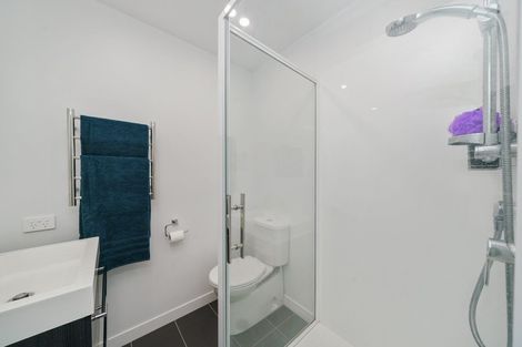Photo of property in 24u4 Princess Terrace, Newtown, Wellington, 6021