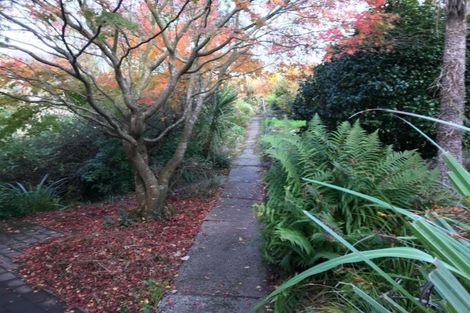 Photo of property in 43 Lawrence Street, Mornington, Dunedin, 9011