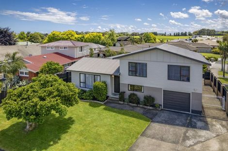 Photo of property in 41 Kennedy Drive, Levin, 5510