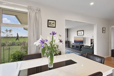 Photo of property in 23 Ranginui Drive, Kaiapoi, 7630