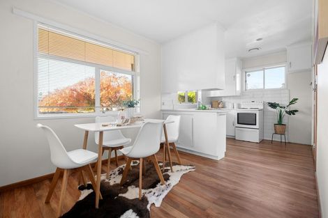 Photo of property in 13 Nelson Street, Hamilton East, Hamilton, 3216