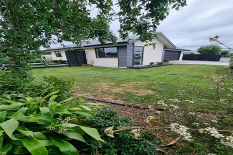 Photo of property in 33 Seadown Crescent, Amberley, 7410