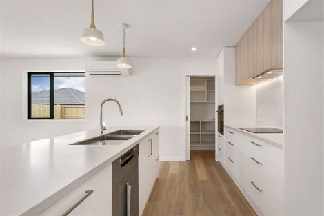 Photo of property in 25 Owaka Road, Wigram, Christchurch, 8025