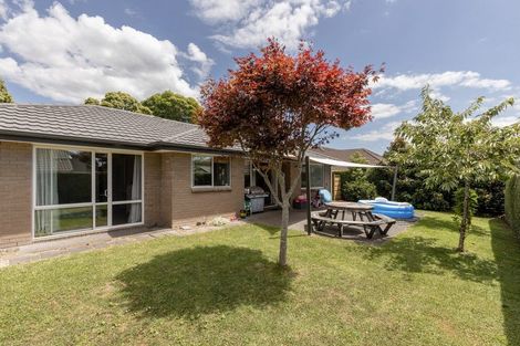 Photo of property in 58 Kayelene Place, Omokoroa, 3114