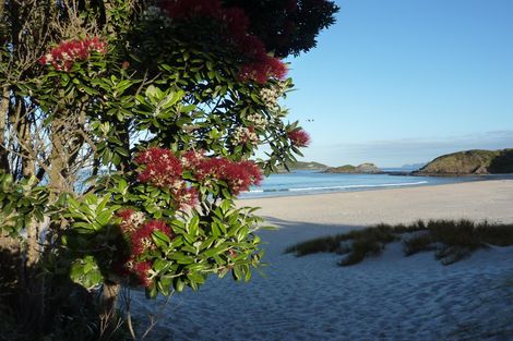 Photo of property in 386 Ocean Beach Road, Whangarei Heads, Whangarei, 0174