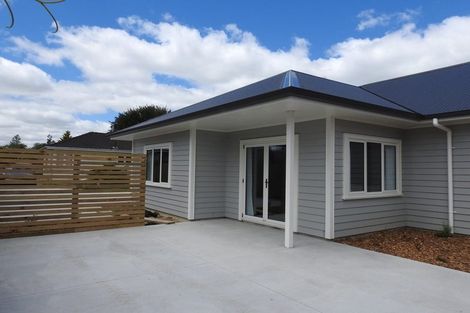 Photo of property in 19 Fox Street, Hamilton East, Hamilton, 3216