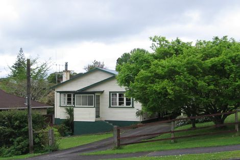Photo of property in 16 Nahum Street, Paeroa, 3600