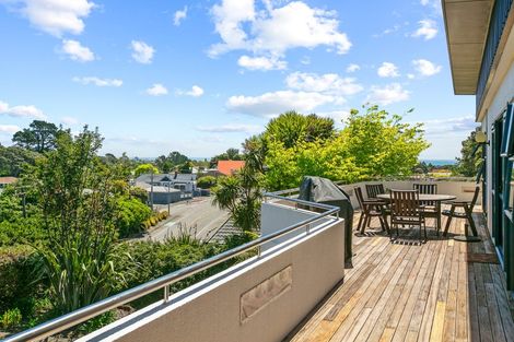 Photo of property in 117 Mangorei Road, Merrilands, New Plymouth, 4312
