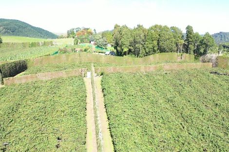 Photo of property in 1395 No 3 Road, Te Puke, 3183