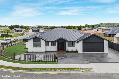 Photo of property in 54 Greig Crescent, Amberley, 7410