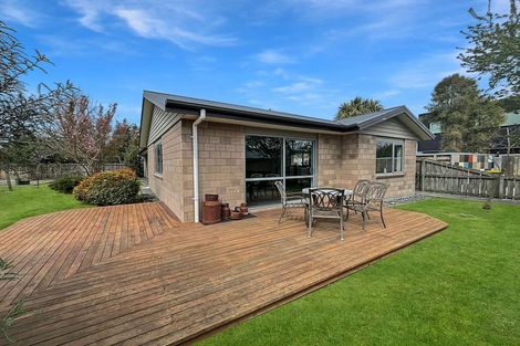 Photo of property in 33 Colcord Place, Methven, 7730