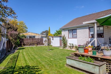 Photo of property in 5d Millard Avenue, Kuripuni, Masterton, 5810