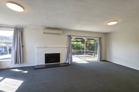 Photo of property in 909a Dufferin Street, Akina, Hastings, 4122