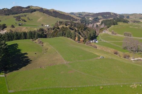 Photo of property in 3345 Weber Road, Weber, Dannevirke, 4970