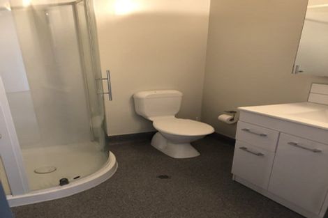 Photo of property in Dual Apartments, 301/142u Vivian Street, Te Aro, Wellington, 6011