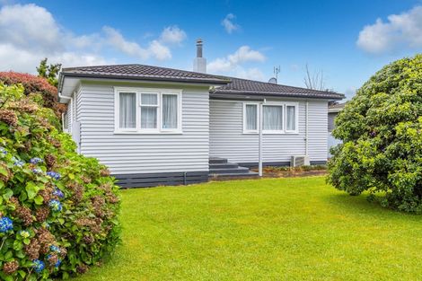 Photo of property in 191 Clarkin Road, Fairfield, Hamilton, 3214