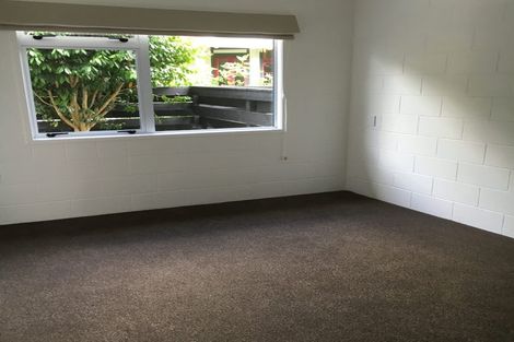 Photo of property in 17u1 Wellington Street, Hamilton East, Hamilton, 3216