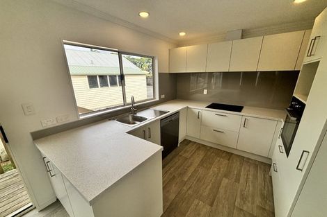 Photo of property in 41a Paterson Avenue West, Pukekohe, 2120