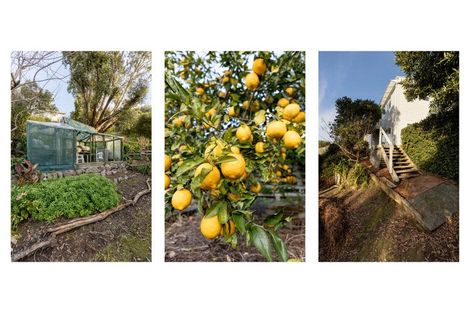 Photo of property in 75 Sutherland Road, Brookfield, Tauranga, 3110