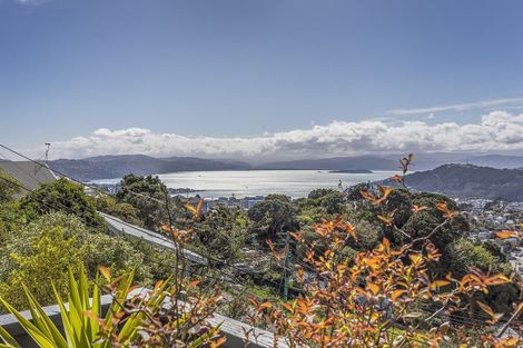 Photo of property in 88 Mitchell Street, Brooklyn, Wellington, 6021