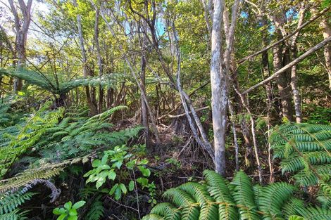 Photo of property in 624 Wyuna Bay Road, Wyuna Bay, Coromandel, 3581