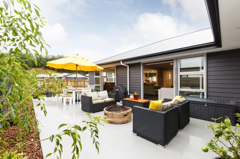 Photo of property in 51 Dahlia Street, Palmerston North, 4410