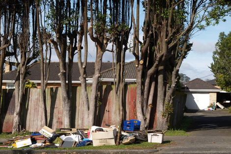 Photo of property in 45 Wakefield Road, Favona, Auckland, 2024