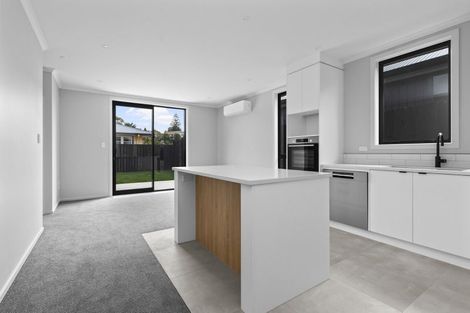 Photo of property in 4u2 Carey Street, Maeroa, Hamilton, 3200