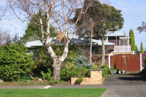 Photo of property in 38 Pitama Road, Awapuni, Palmerston North, 4412