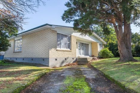 Photo of property in 61 Guy Street, Dannevirke, 4930