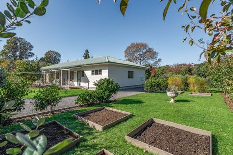 Photo of property in 31 Udy Street, Greytown, 5712