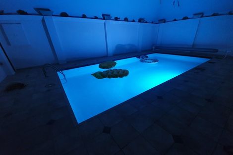 Photo of property in 21 Mansfield Drive, Kaiapoi, 7630