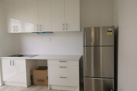 Photo of property in 55 Myland Drive, Hobsonville, Auckland, 0616