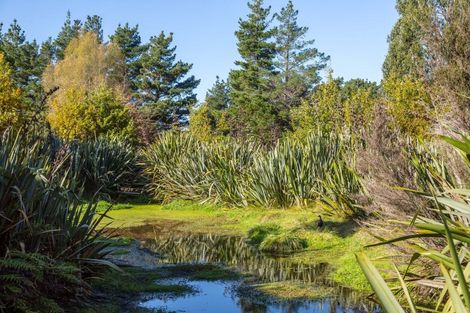 Photo of property in 881a Norfolk Road, Upper Plain, Carterton, 5791