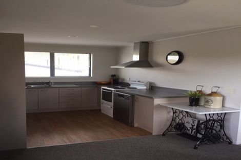 Photo of property in 245a Mitchell Street, Brooklyn, Wellington, 6021