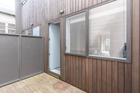 Photo of property in Aniva Terrace, 14 Arney Street, Newtown, Wellington, 6021