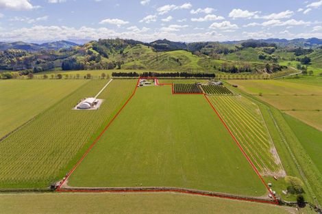 Photo of property in 144 Ngakoroa Road, Ormond, Gisborne, 4071