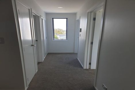 Photo of property in 48d Lyttelton Avenue, Forrest Hill, Auckland, 0620