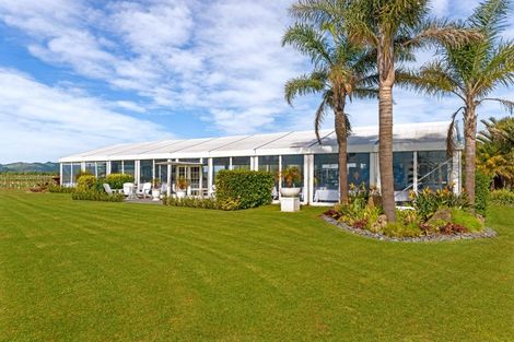 Photo of property in 166 Main Road, Matawhero, Gisborne, 4071