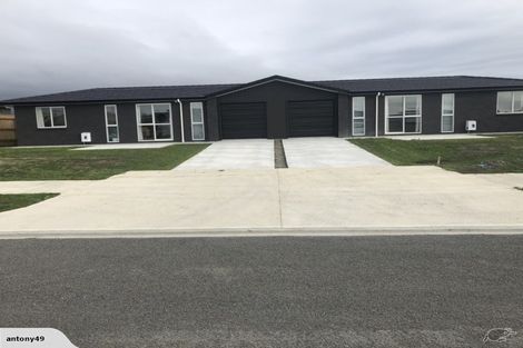 Photo of property in 87 Hinemoa Street, Levin, 5510